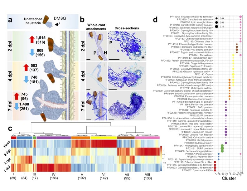 Figure 4 from Bradley et al (2024)